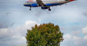 1. In Hounslow, they are letting a hundred flowers bloom
