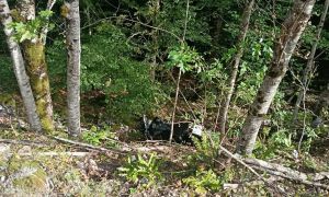 26-letni motorist iz Slovenije pristal v 20 metrov globoki grapi