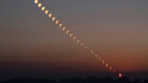 Le cosmos, vaste sujet de fin d’été