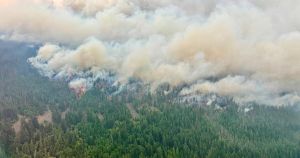 Another Voice: The air our children breathe is changing, and it's making them sick