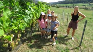 Das gibt es selten: Ein Weinfest auf 700 Meter Meereshöhe
