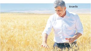 ETİ’nin tarladan başlayan dayanıklılık yatırımı: Kanatlı Buğdayı