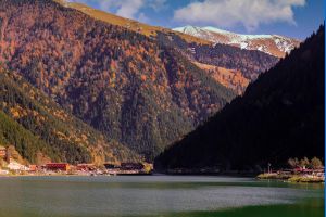 Unutulan meyveler: Komşunun dili