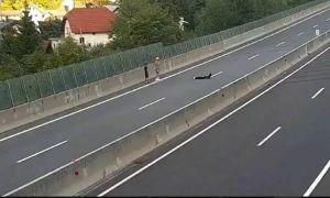 Smrtonosna vožnja v napačno smer za všečke in sledilce