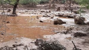 Zeker één persoon overleden door overstromingen Grand Canyon