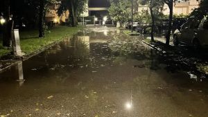 A Dolo vie e case sott’acqua: «La colpa è dei tigli»