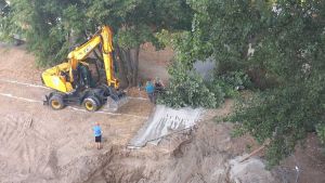 Stanari prete blokadom radova u Bloku 63, tvrde da su posečena višegodišnja stabla
