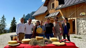 Dalla malga alla Loggia del Lionello: a Friuli Doc 2026 torna la grande Asta dei Formaggi