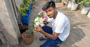 Before You Throw Out a Struggling Plant, Try This Rajasthan Gardener’s Homemade Spray Idea