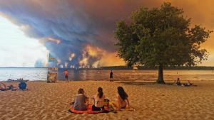 Schrecklicher Sommer, super Sommer: Freude und Leid lagen selten so nah beisammen