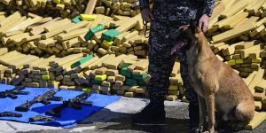 Latin America's Crime Tax