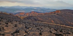 Las secuelas de los incendios: erosión, inundaciones, contaminación del agua y degradación de ecosistemas