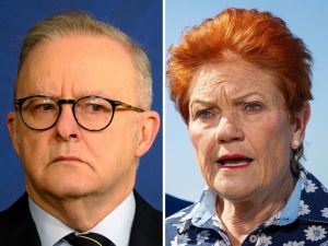 Tim Blair: Albo’s anger just keeps promoting Pauline