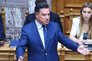 Άδωνις κατά ΚΚΕ: Θα υπηρετήσουμε την «Ασπίδα του Αχιλλέα» όσα καραγκιοζιλίκια κι αν κάνετε στα λιμάνια