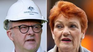 Panahi: Albo’s hysterical attack on Hanson reeks of hypocrisy