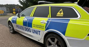 Prison not ruled out for dog owner after farmland attack injured police officer