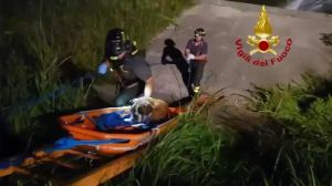 Cane bloccato in una cascata artificiale, il salvataggio dei vigili del fuoco