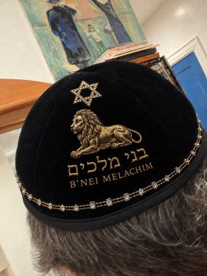 The Lion: King of the Animal Kingdom, Symbol of Jerusalem and Moshiach’s Tribe