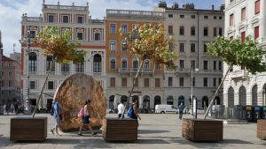 Rinsecchiti e ora anche piegati dal vento, non c'è pace a Trieste per gli 