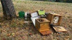 Unbekannte Täter zerstören mutwillig Bienenkästen im Gewann Stalden bei Wehr