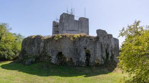 Taglio alberi alla Rocca di Monfalcone. Per gli ambientalisti ora serve un botanico
