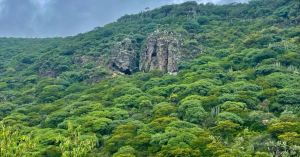 Más vida a nuestras áreas naturales, más futuro para Querétaro