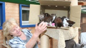 Die Mutter Courage der Tiere: Carola Hannes