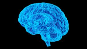 Which Job Has the Lowest Risk of Alzheimer’s? (And What That Can Teach You About Avoiding Dementia)