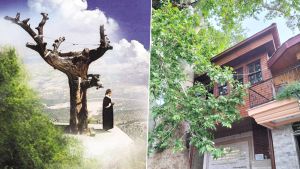 Eskişehir’den Barla’ya