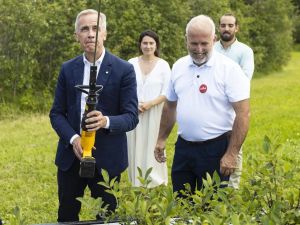 Kheiriddin: Liberal byelection sweep cements Carney's flag-rallying strategy