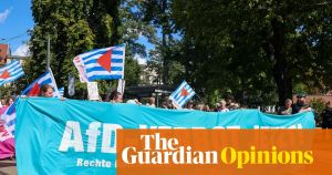 The shadow of the AfD hangs over German democracy – but I still have faith in my adopted country