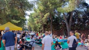 Torna Falconara sport day: 