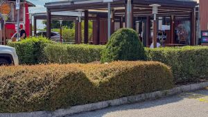 Parapiglia al McDonald’s di Monselice, la denuncia: «Ha rischiato di investirci»