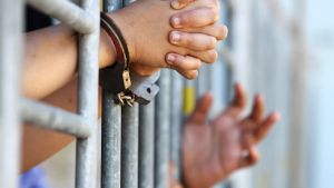 Cada día más detenidos por la ley