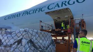Malpensa rallenta, il cargo italiano frena: il gigante perde quota mentre Bergamo accelera