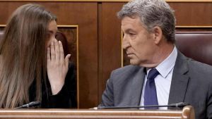 El PP acusa al Gobierno de España de 