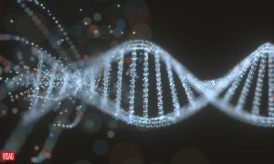 Genética sem legendas: o problema dos testes de ADN de venda ao público