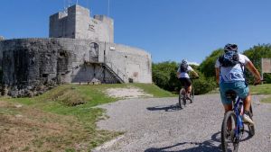 Taglio alberi alla Rocca di Monfalcone, il Comune: “Sì a un botanico esperto”