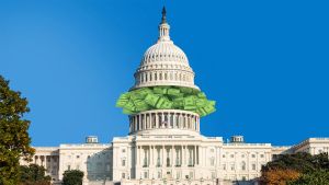 The U.S. Government Owns Pieces of More Companies Than It Used To. Here’s Why It Matters