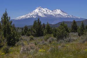 Novice Mount Shasta climbers rescued after relying on Gemini AI to plan trip