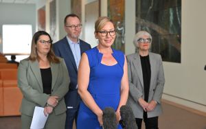 The major parties collapsed. Why didn’t the Greens rise?