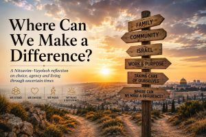 Where Can We Make a Difference?