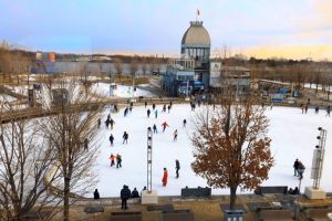 Pourquoi démanteler l’une des grandes réussites de Montréal ?