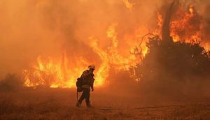 UN warns ‘supersized’ El Nino is approaching: ‘We have no time to lose’