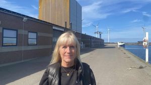 Havn har stor plan til 40 millioner: Gammel is-silo skal være udkigstårn med en ...