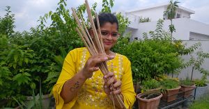 How To Turn Your Old Brooms Into a DIY Plant Support