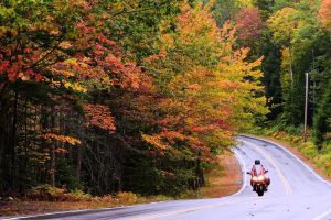 Tom Purcell: Autumn, finally: A season to calm our politics