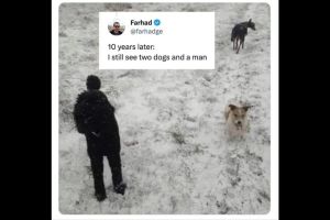 If you see a person and two dogs in this photo, look again. It’s an optical illusion.