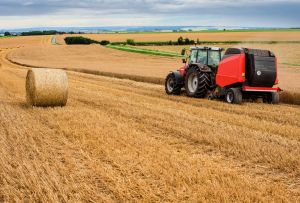 Canicules : le plan d’urgence pour les agriculteurs retardé par le ministère