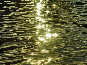 India has a solar land problem. Its reservoirs may hold the answer